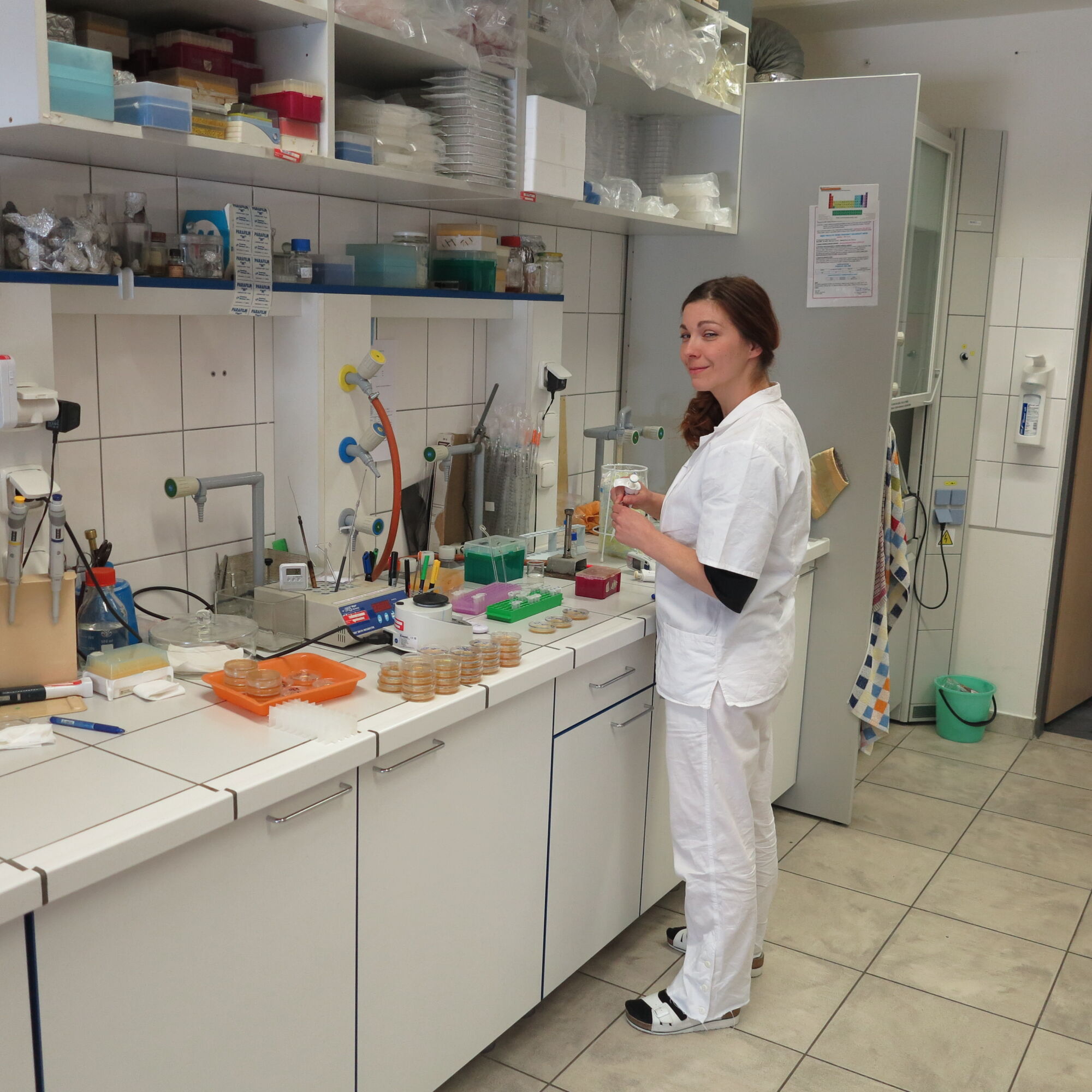 V Ústavu organické chemie  biochemie při výzkumu antimikrobiálních peptidů